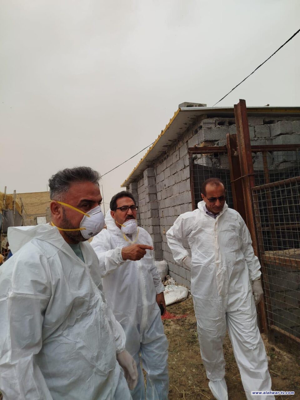 ذي قار: السيطرة على بؤرة إصابة بالحمى القلاعية جنوب الناصرية