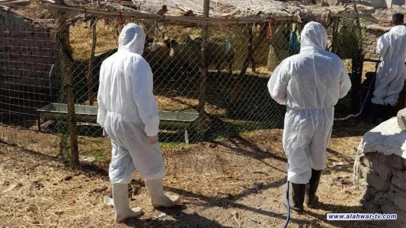 تصاعد مخاطر الحمى النزفية في ذي قار وتحذيرات من خروج الوضع عن السيطرة