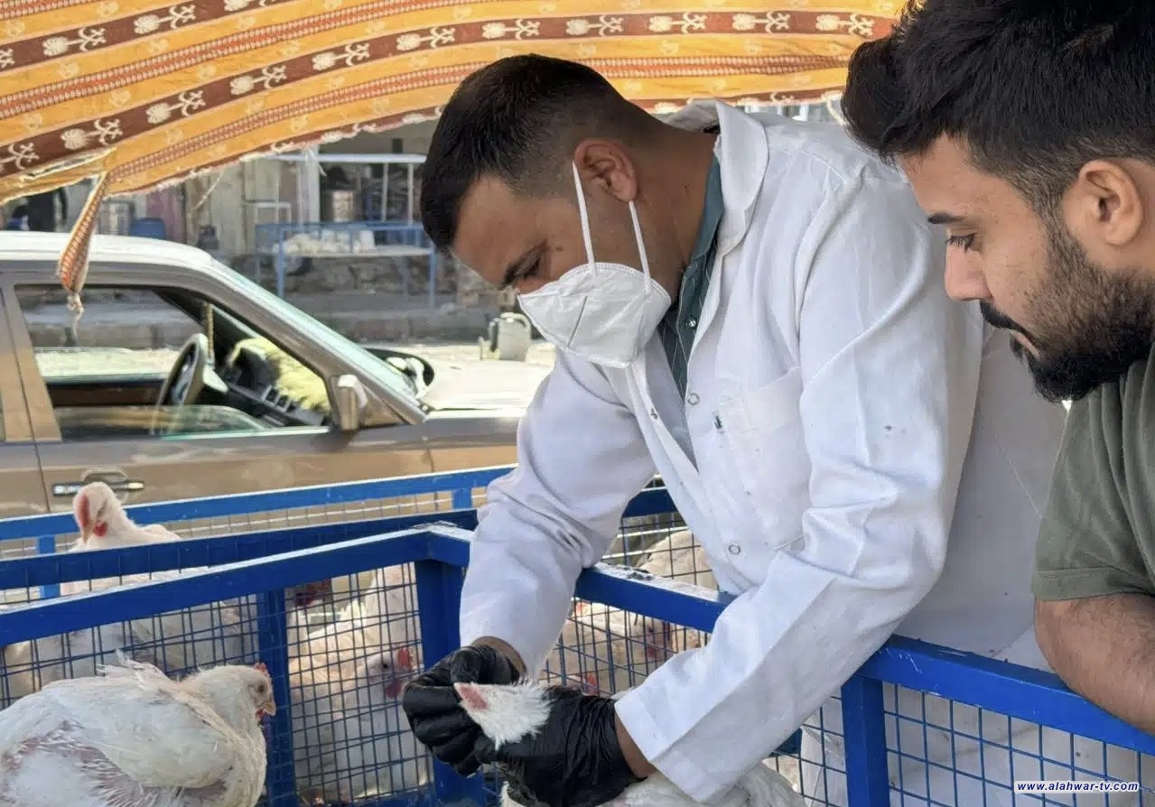انطلاق حملة استباقية في ذي قار لرصد إنفلونزا الطيور بعد تسجيل إصابات في دول مجاورة