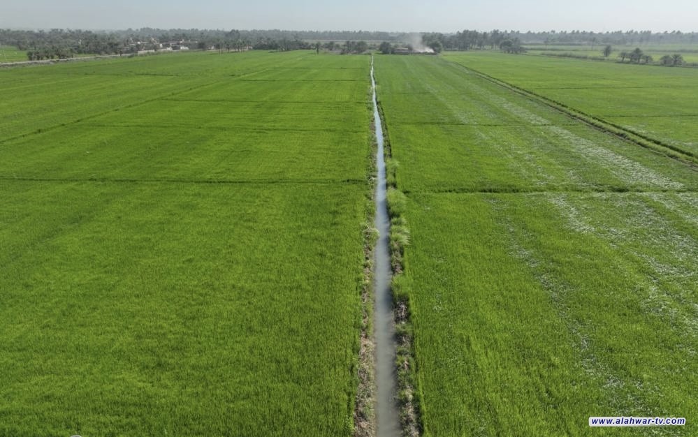 الزراعة العراقية تترقب رية الفطام