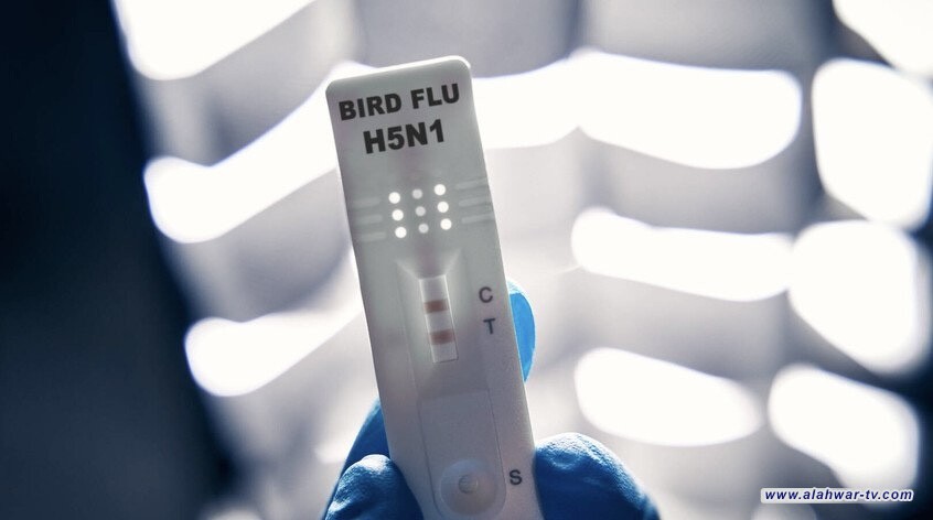 المكسيك تعلن أول إصابة بشرية بإنفلونزا الطيور لطفلة