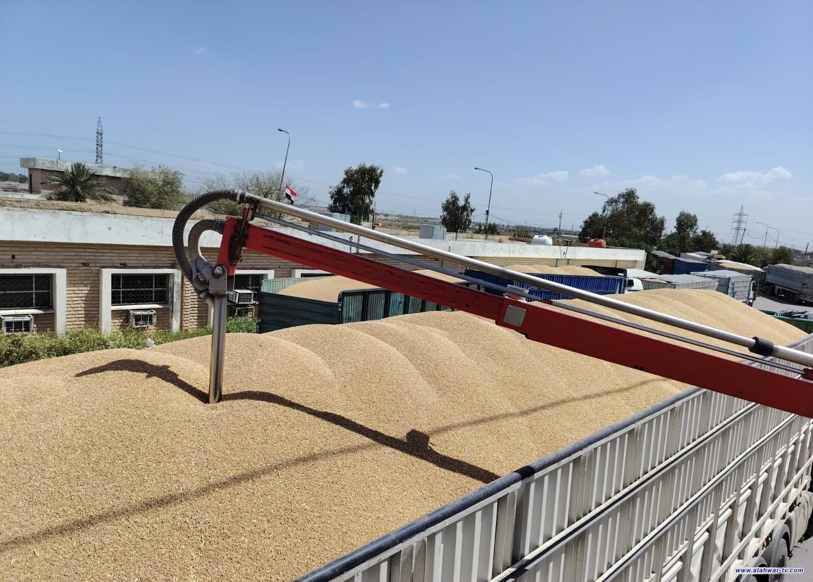 تجارة الحبوب تباشر تجهيز المطاحن بالحصة الثالثة دعماً للبطاقة التموينية