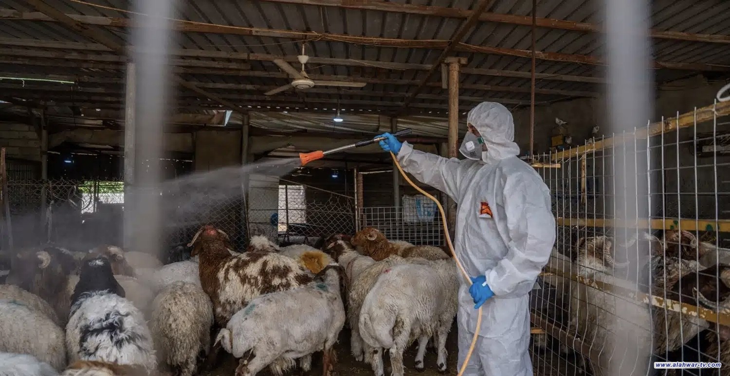 ذي قار تسجل حالتي وفاة وتسع إصابات بالحمى النزفية والكوادر الصحية تباشر المتابعة