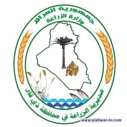 زراعة ذي قار: خمسة مراكز تسويقية جاهزة لاستلام محصول الحنطة مع اقتراب موسم الحصاد