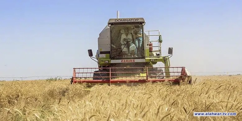 مدير زراعة ذي قار يكشف تفاصيل حملة حصاد الحنطة والشعير للموسم الحالي