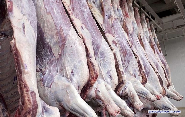 لمواجهة ارتفاع الأسعار.. الزراعة تطلق منصة إلكترونية لاستيراد اللحوم