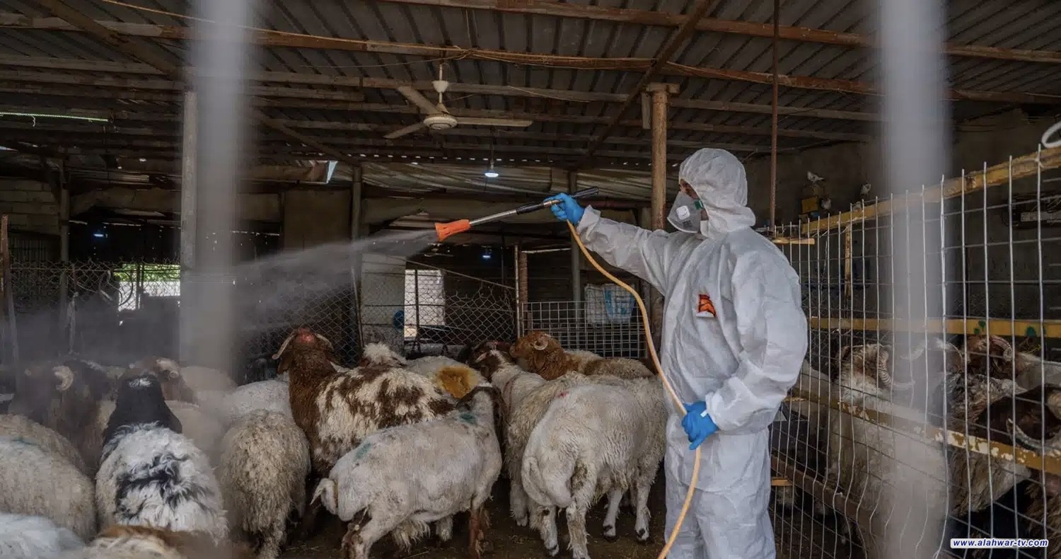 مستشفى البيطري في ذي قار تطلق تحذيرا من تزايد إصابات الحمى النزفية وتطالب بتوفير مبيدات عاجلة