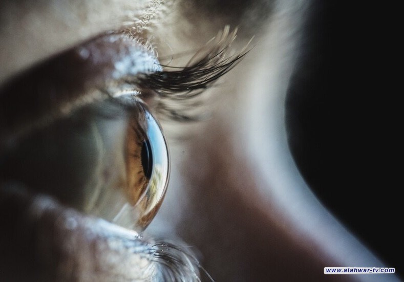 أطعمة تحمي عينيك من التلف الناتج عن استخدام الشاشات