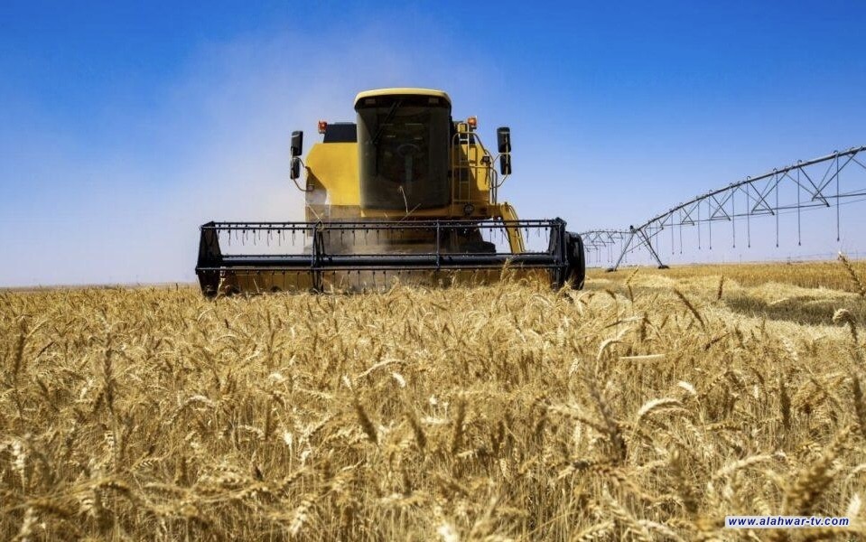 انطلاق حملة الحصاد الميكانيكي لمحصول الحنطة في ذي قار لتعزيز الإنتاج المحلي
