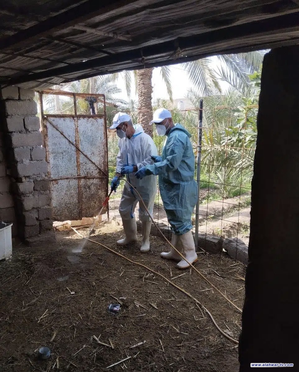 فرق بيطرية تحتوي بؤرة إصابة بالحمى النزفية جنوب الناصرية