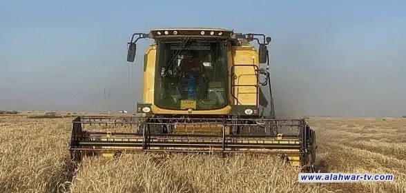 انطلاق موسم تسويق الحنطة في ذي قار بخطة متكاملة تستهدف 75 ألف طن