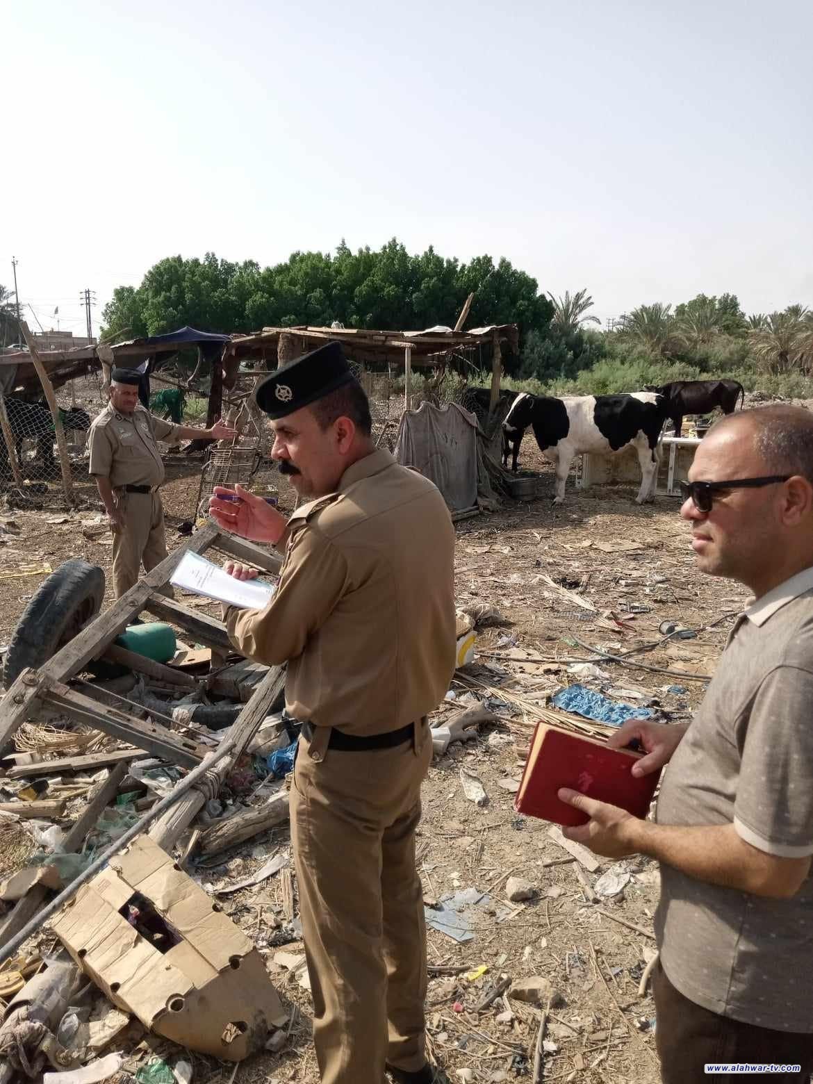 بيئي ذي قار تجري كشف مشترك ضد مربي المواشي في منطقة الموحية