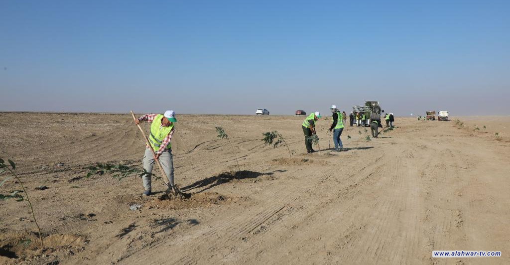 ذي قار تطلق حملة لتشجير 15 ألف شجرة لمكافحة التصحر