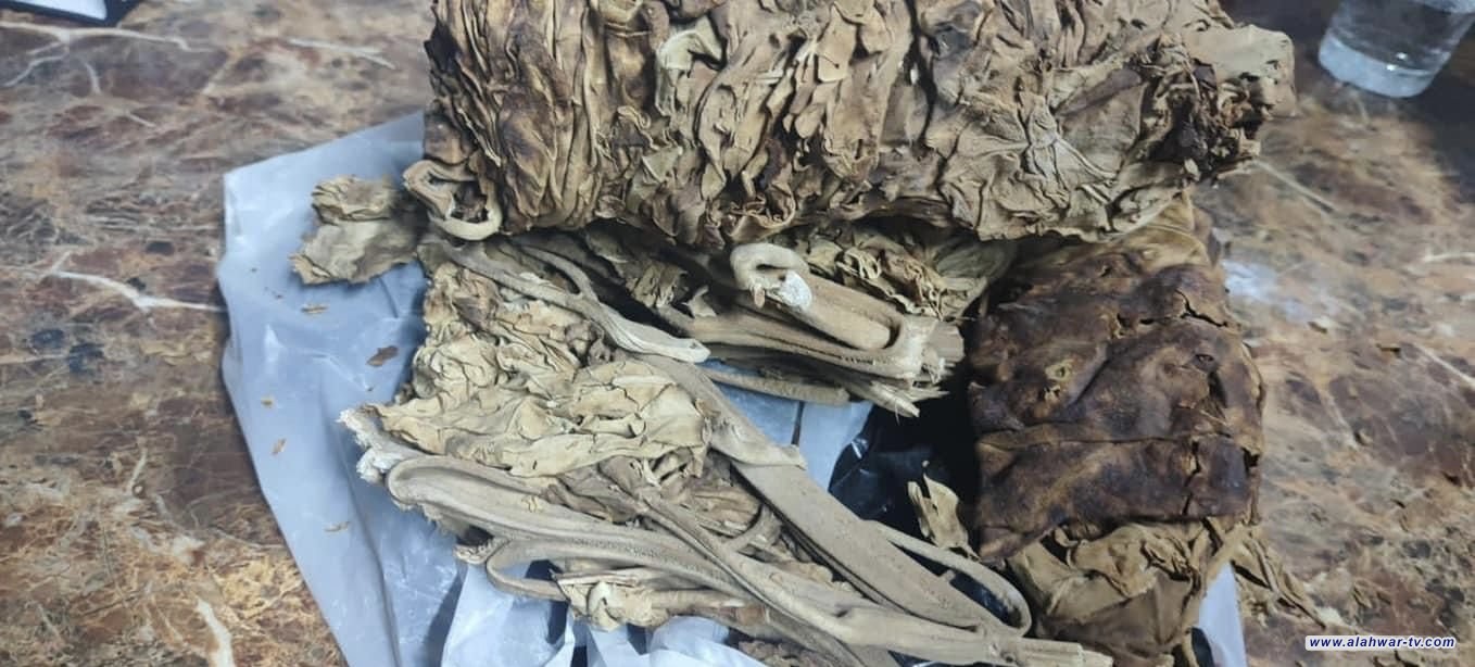 إحباط محاولة تهريب مادة مخدرة في منفذ سفوان