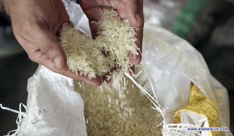 الزراعة تكشف نتائج  محبطة  في زراعة أرز العنبر