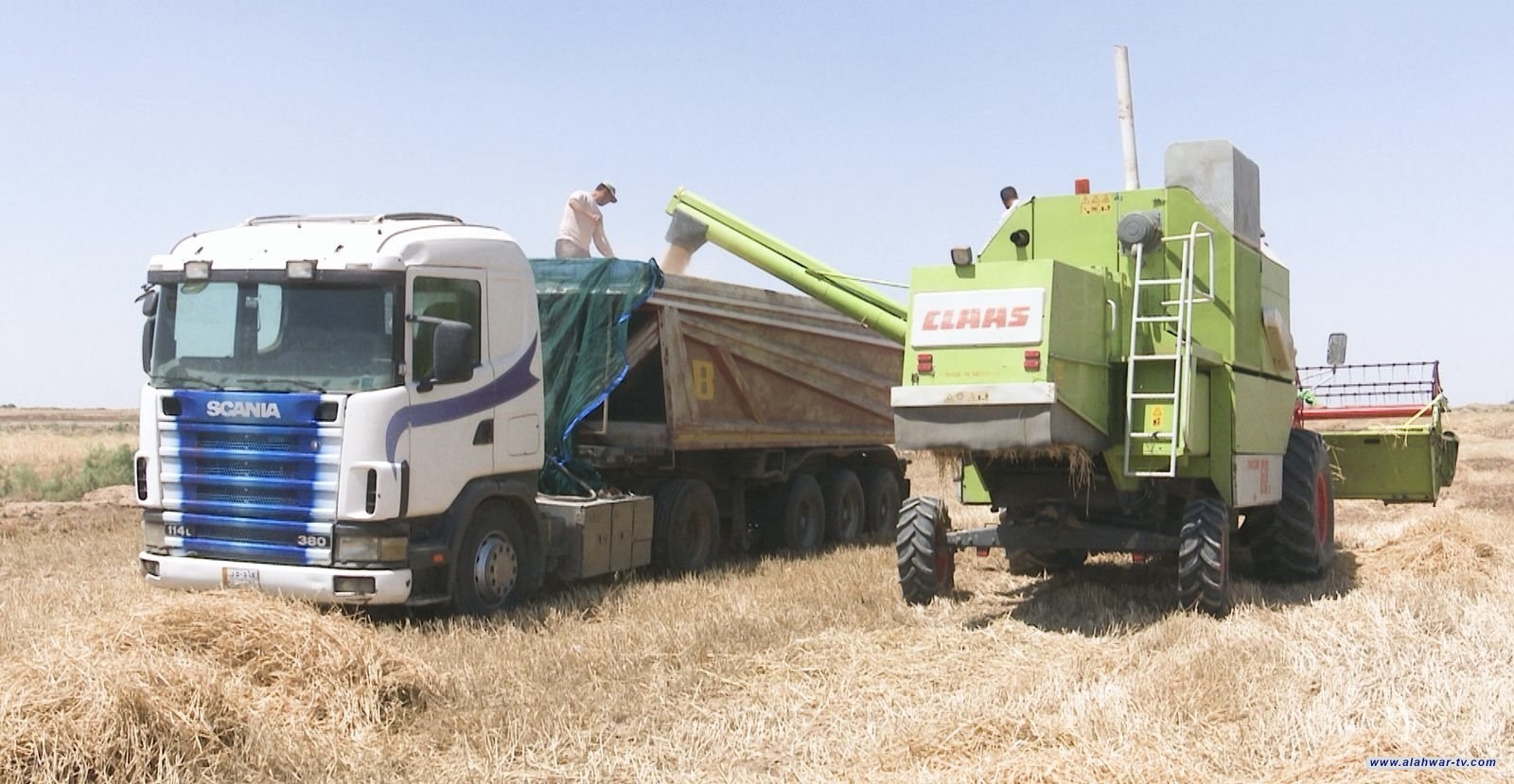 زراعة ذي قار تعلن انطلاق حصاد الحنطة وبدء التسويق عبر ثلاثة مراكز