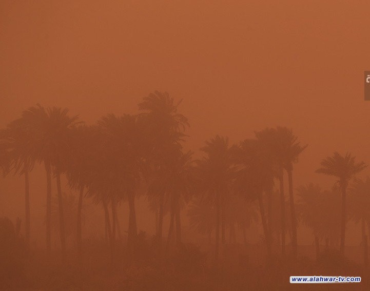 البؤر مشخصة.. البيئة: خطط واستراتيجيات لمكافحة العواصف الترابية والتصحر
