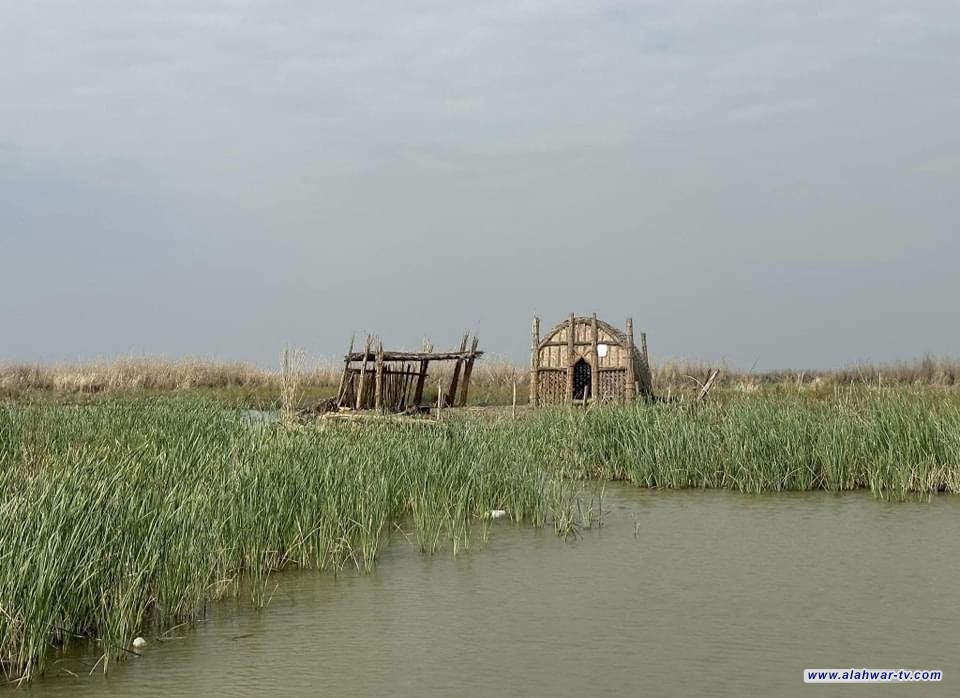 بالصور: اهوار الجبايش بعد ليلة ممطر تسهم في زيادة مناسيب المياه