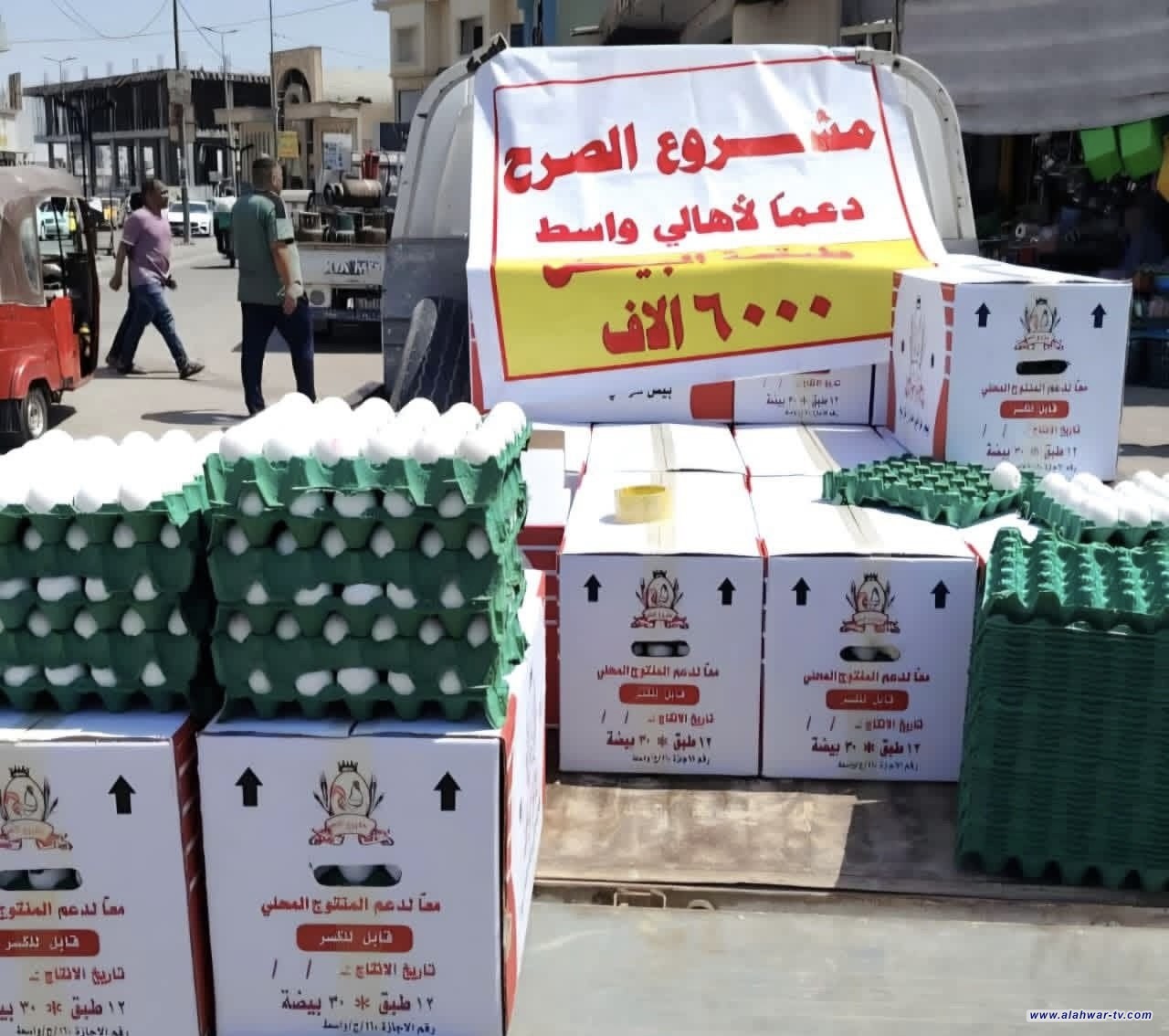 وزارة الزراعة: إنتاج البيض محلياً كافٍ ولا توجد أزمة في السوق