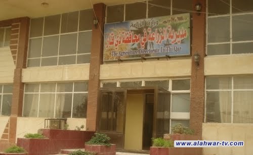 زراعة ذي قار تعلن ملامح الخطة الصيفية بمساحة تتجاوز 100 ألف دونم