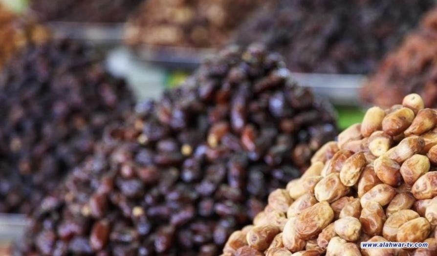 الزهدي يقود الصدارة.. العراق يتجاوز 600 ألف طن من صادرات التمور
