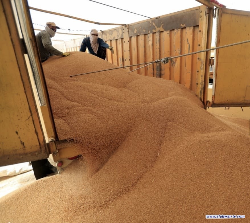 وزير التجارة: خزين الحنطة يتجاوز المليوني طن والعراق غادر القائمة الدولية بتضخم أسعار المواد الغذائية