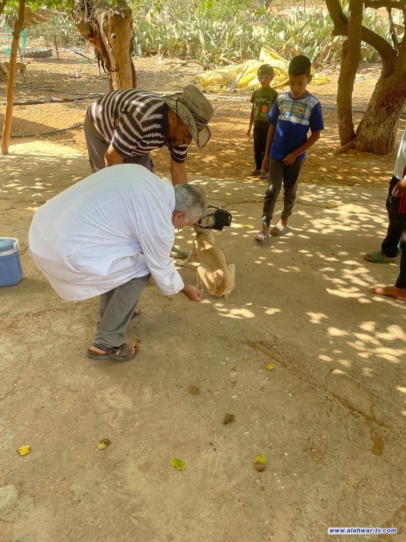 ذي قار تسجل 41 إصابة و7 وفيات بمرض الحمى النزفية منذ بداية العام