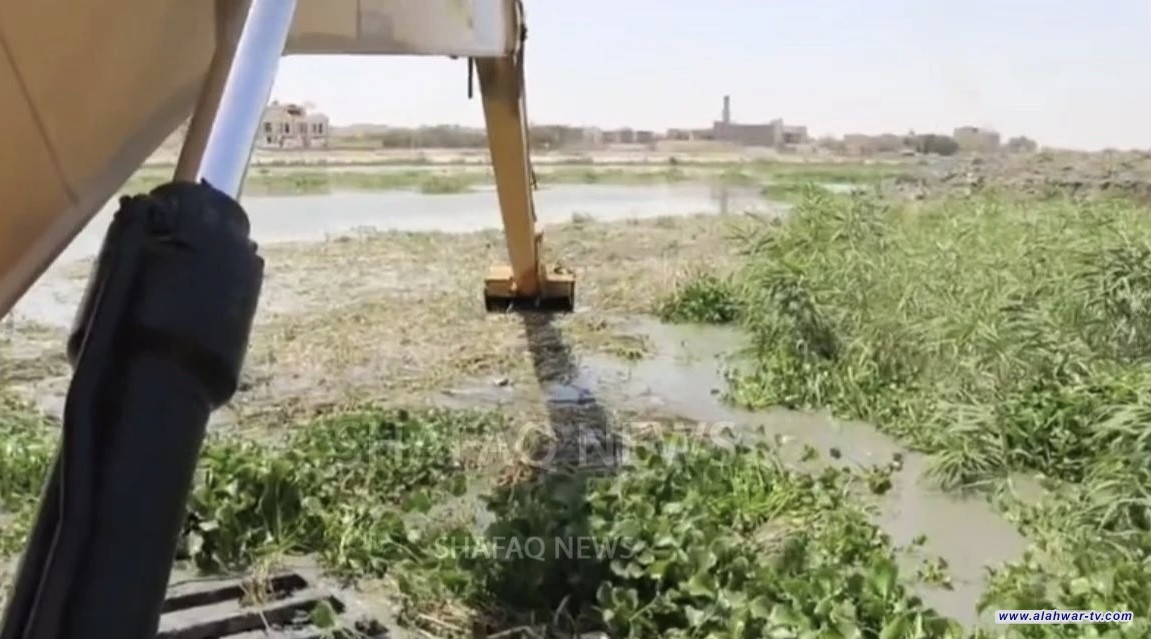 ذي قار تتحرك لمواجهة الخطر الأخضر في نهر الفرات