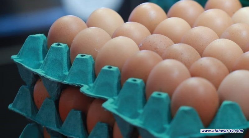 الجمارك توجه مراكزها للبدء بإدخال مادة بيض المائدة