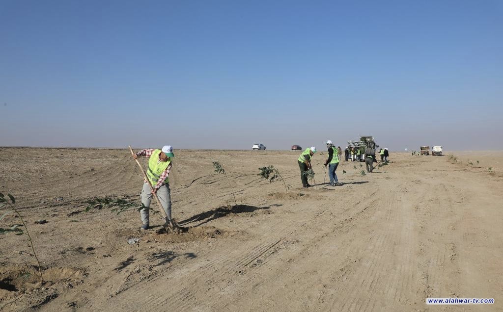 زراعة 17 كيلومترا شمال غرب الناصرية لمكافحة التصحر باستخدام تقنيات حديثة