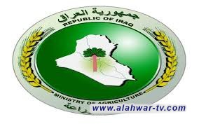 الزراعة توجه مديرياتها للبدء بفرز أراضٍ للمتفرغين الزراعيين