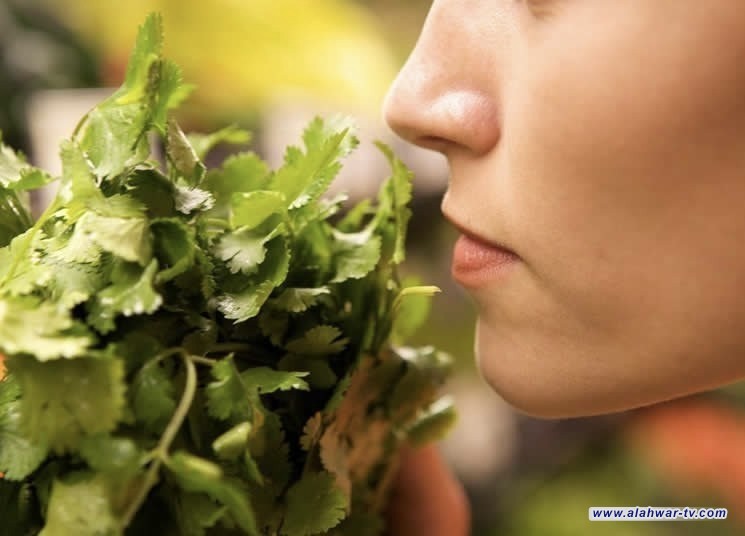 دراسة تحذر: ضعف حاسة الشم قد يكون مؤشراً مبكراً لأمراض القلب