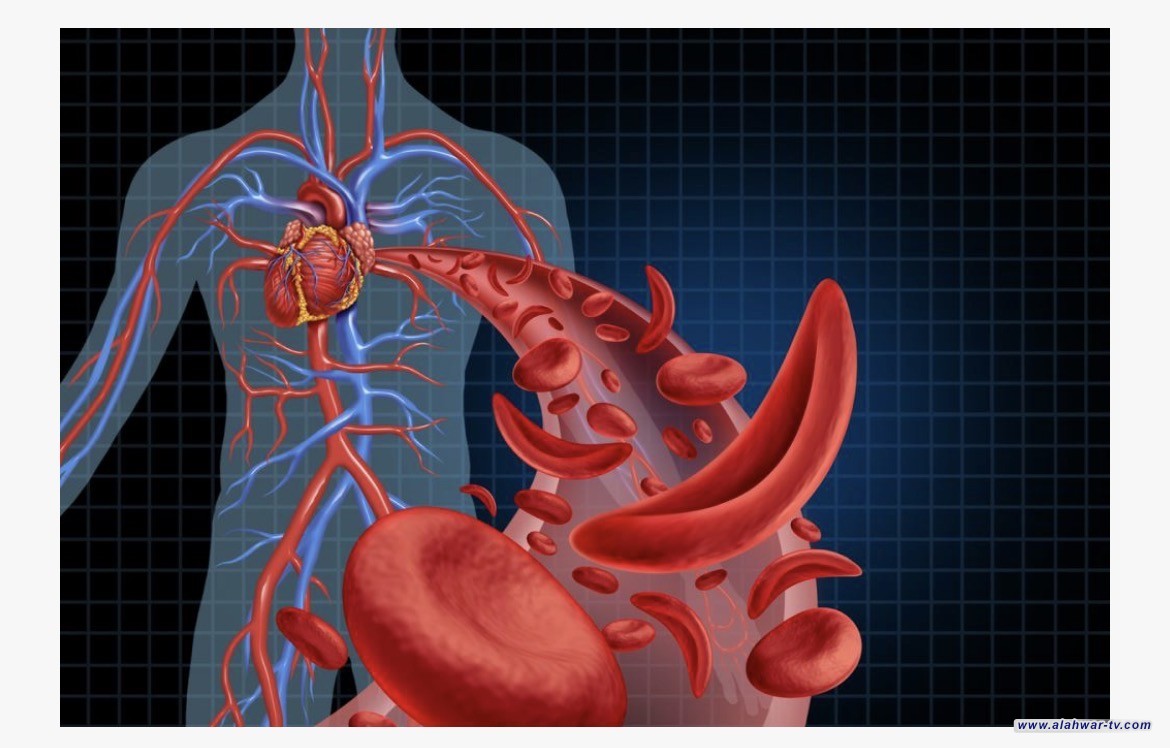 أعراض تجلط الدم .. خطوات قد تنقذ حياتك