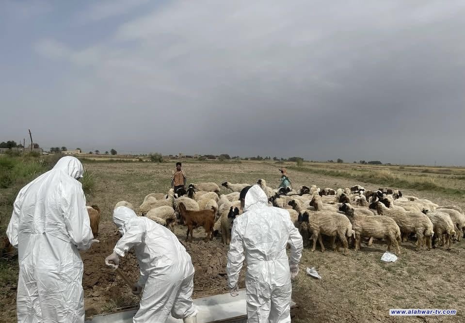 إصابة جديدة بالحمى النزفية في العكيكة ترفع حصيلة الإصابات في ذي قار إلى 6