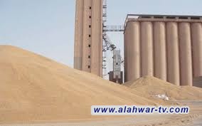 وزير الزراعة: سيتم استلام الخطة الزراعية من الفلاحين والمزارعين بشكل كامل