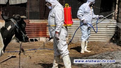 ذي قار تتصدر إصابات الحمى النزفية في العراق بنسبة 43% منذ بداية 2025