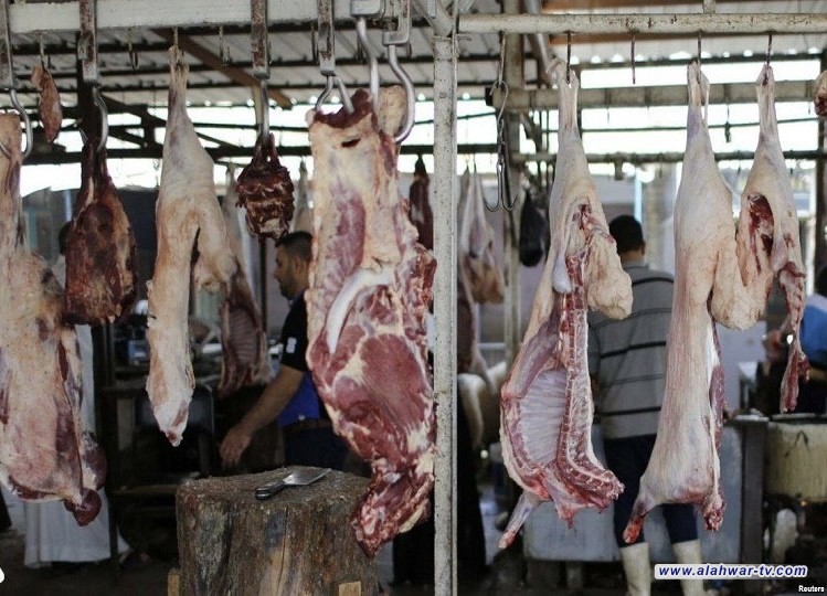 الزراعة: تنفيذ 250 حملة تفتيشية للحد من حالات الجزر العشوائي للماشية