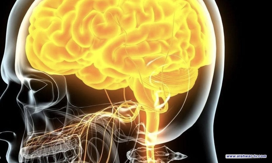 دراسة تكشف تأثيرًا إيجابيًا للتكنولوجيا على صحة الدماغ