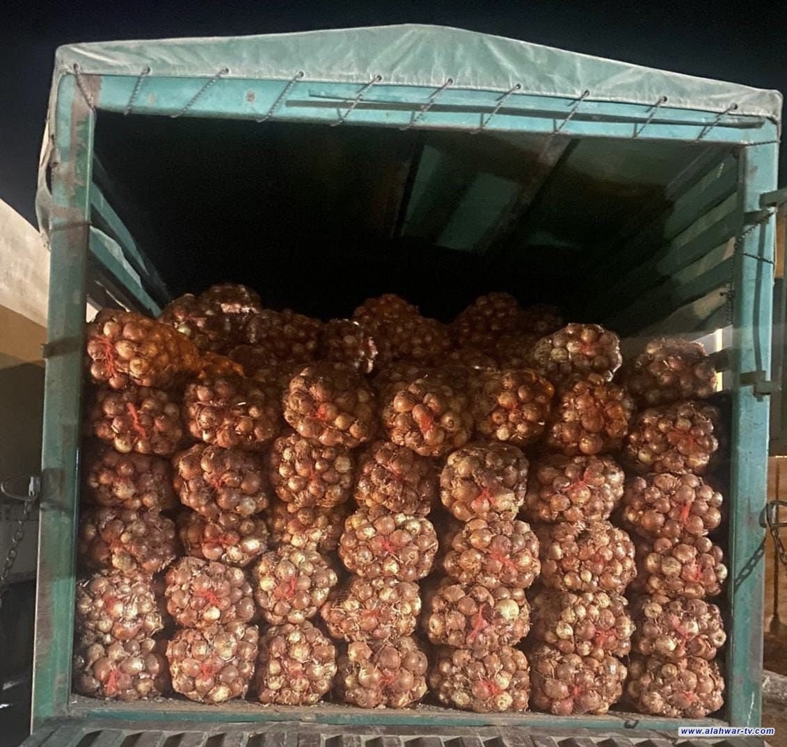 منفذ المنذرية يعلن ضبط 6 شاحنات مخالفة لشروط الاستيراد