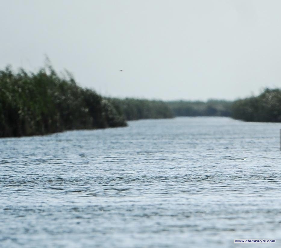 الموارد تُحدد آلية استثمار مياه الأمطار لدعم الخزين المائي