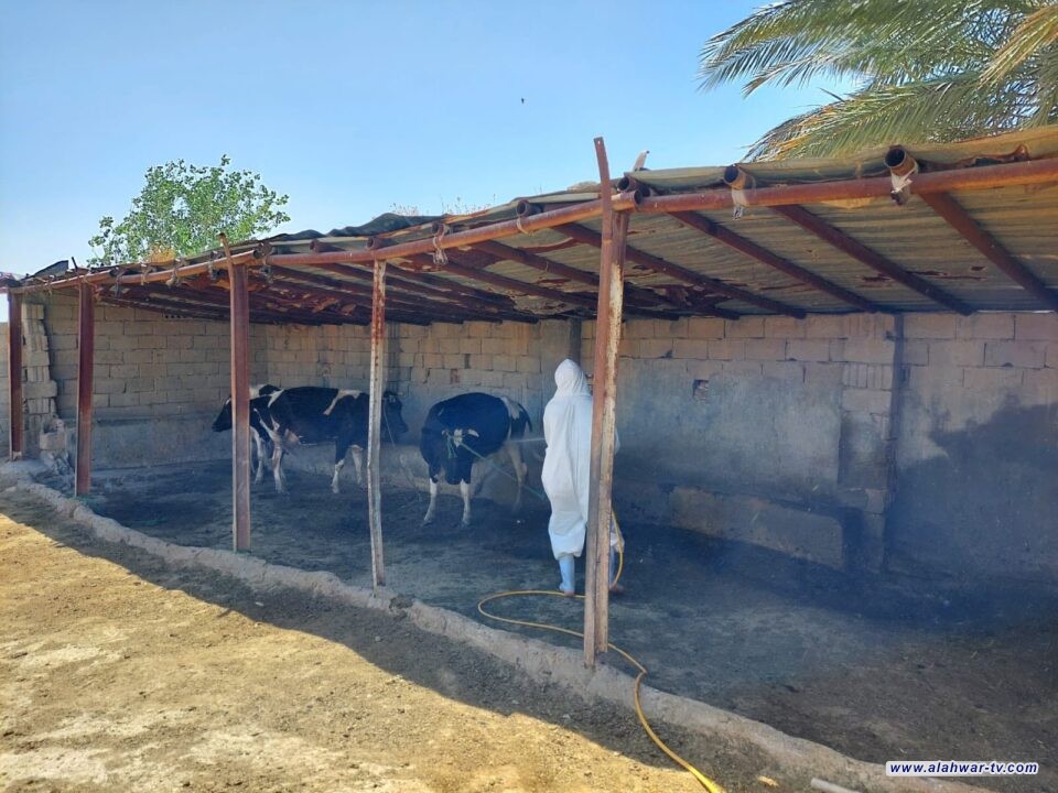 ذي قار تسجل ثلاث إصابات جديدة بالحمى النزفية خلال 72 ساعة