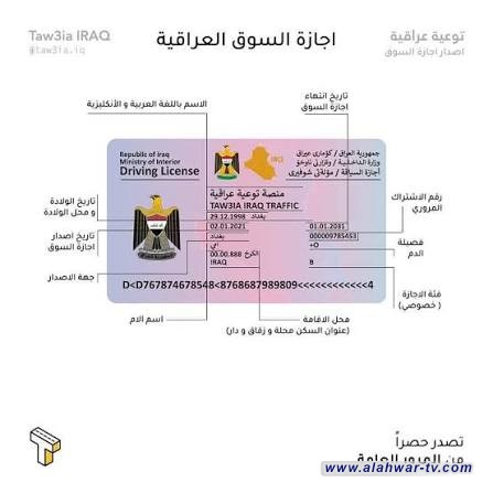 مستشار حكومي: إجازة السوق ستتحول إلى إلكترونية قريباً