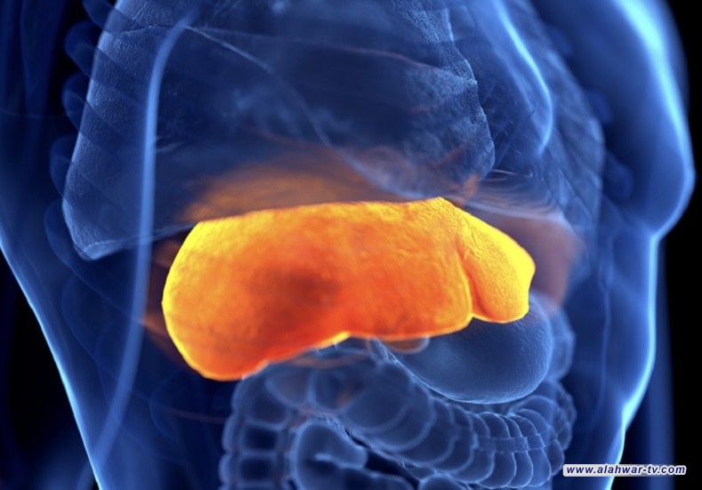 مكون شائع في حياتنا اليومية مرتبط بتليف وسرطان الكبد