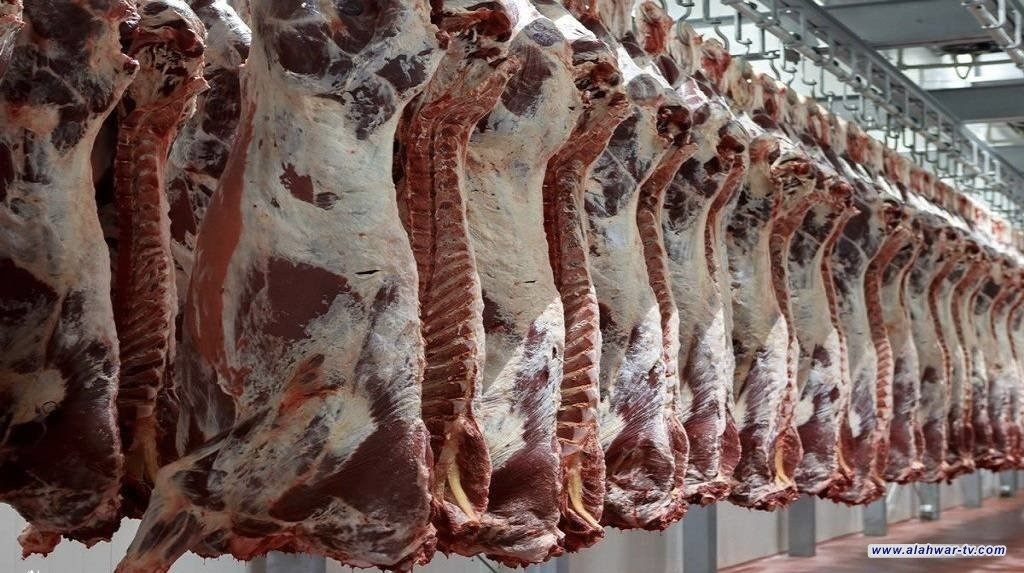 الزراعة تعلن عن شروط استيراد اللحوم