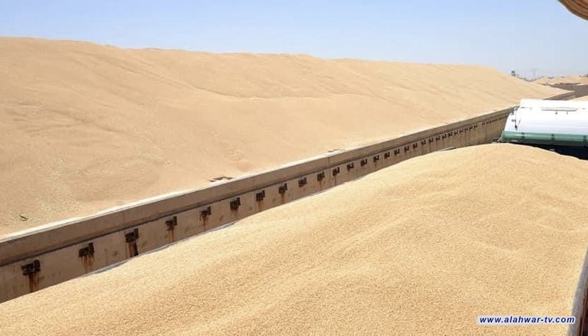 العراق يهدي 220 ألف طن من الحنطة الى سوريا