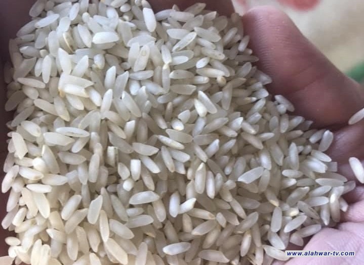 العراق يستعين بأسلوب "الزراعة الجافة" لديمومة إنتاج رز العنبر
