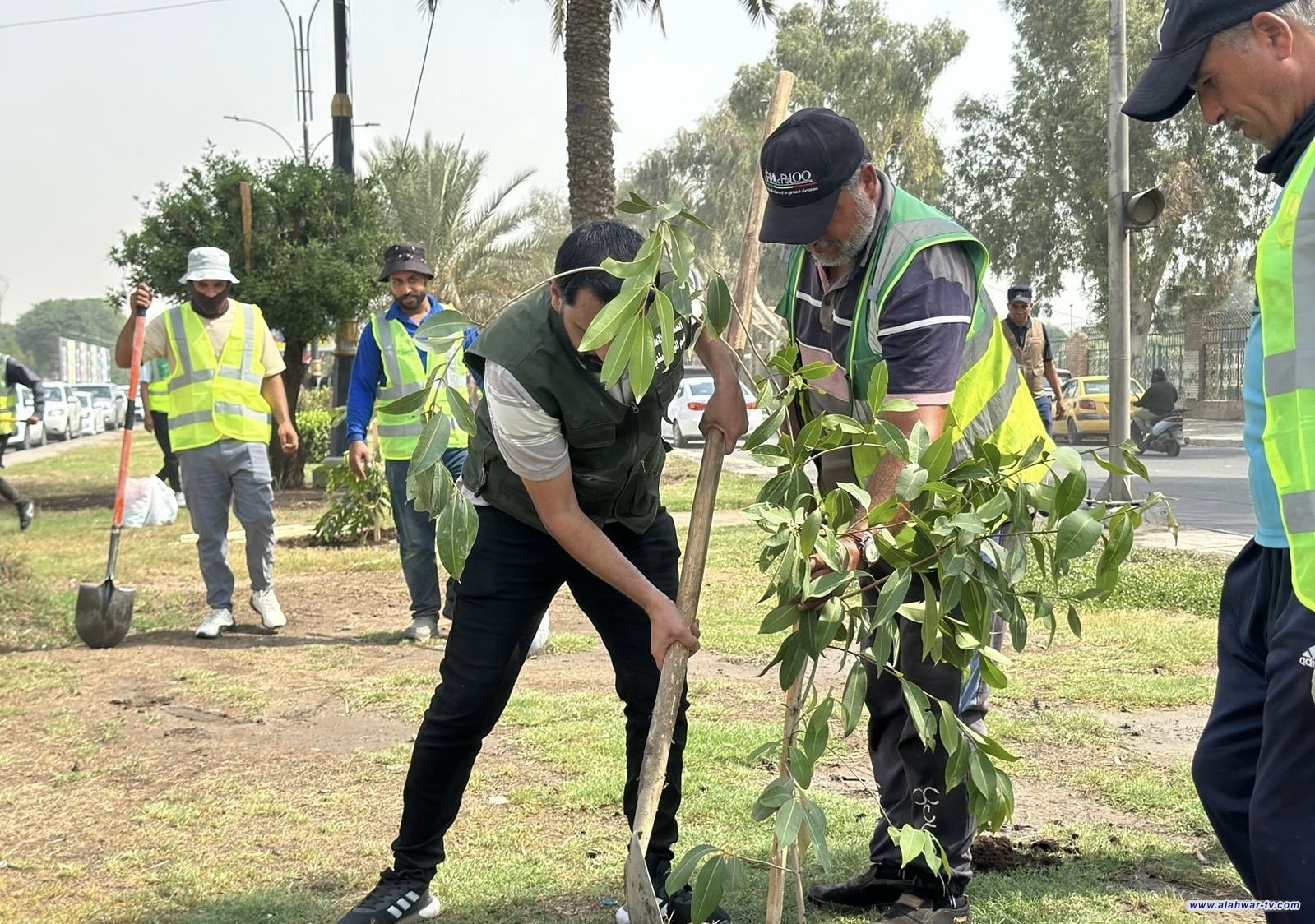 البيئة: تعاون دولي بمجالات التشجير ومكافحة التصحر وتوجه لاعتماد تقنيات الاستمطار الصناعي