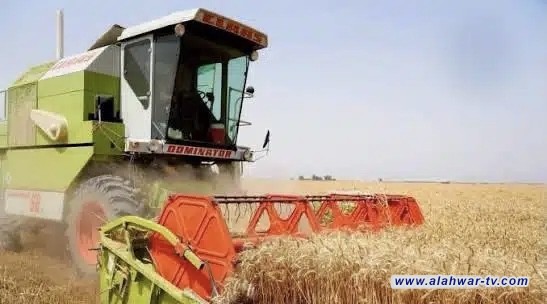 ذي قار تختتم موسمها التسويقي للحنطة بتسجيل قرابة 60 ألف طن في مراكز الاستلام