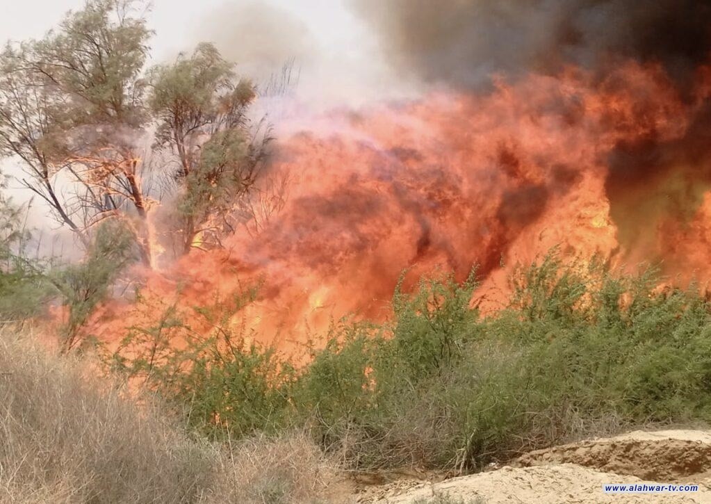 احتراق خط الدفاع الأخضر شمال ذي قار: النيران تلتهم أكثر من 25 دونما من الحزام النباتي وتُمهّد لزحف التصحر