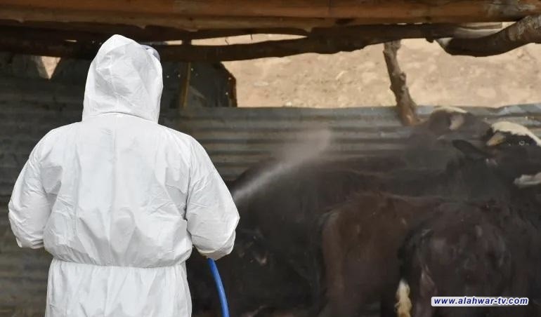 الصحة النيابية تحذر من تفاقم اصابات الحمى النزفية وتطالب باجراءات عاجلة